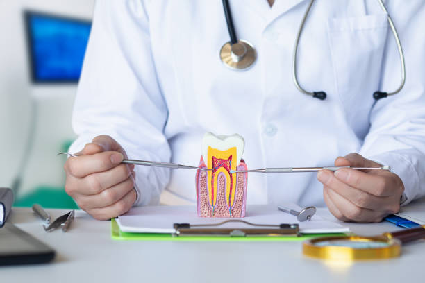 Best Emergency Treatment for Toothache in Williamsburg, KY